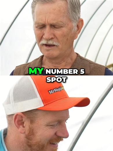 Acer palmatum 'Geisha Gone Wild' So Bright And Pink 🍁🔥🔥🔥🔥#JapaneseMaple #plantaddict #plantok #Japanesmaple #MrMaple #treegeek #gardenlife #plantsoftiktoks