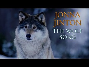 Jonna Jinton - The Wolf Song | A Swedish Lullaby (4K)