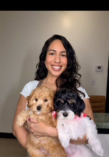 Professional Grooming Services at The Puppy Ranch