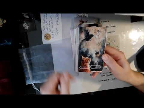 Oracle Pastels et pattes de chats by LeCercleDemeter