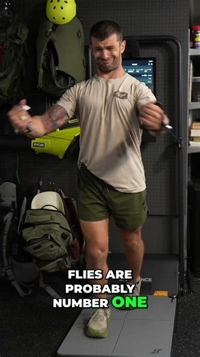 My 5 Favorite Exercises on the Gym Monster 2