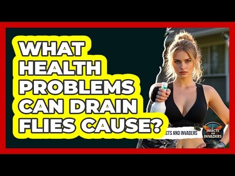 What Health Problems Can Drain Flies Cause? - Insects and Invaders