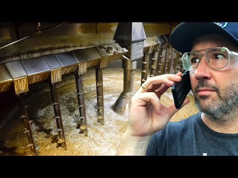 Single Infusion Vs Step Mashing!