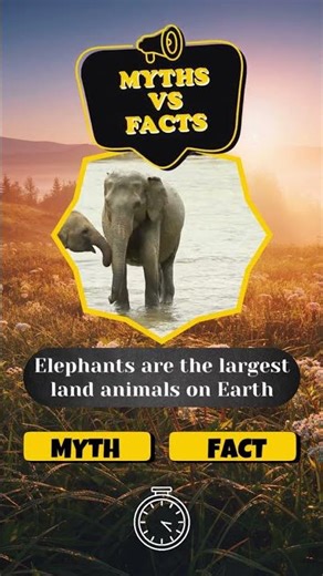 🐍 Animal Myths vs Facts Part 1🦁 | Truth That Will Shock You! 🤯