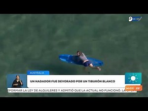 A swimmer was eaten by a great white shark