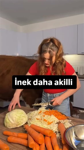 laz_yorumcu on Instagram: "Bi yoksa ortalugi #kesfetteyim#keşfetedüş#reklamdeğil#i̇nek#temizlik"