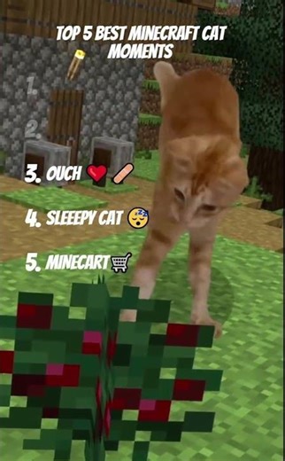 Top 5 Best Minecraft Cat Moments #minecraft #catcompilation #cat #funny #cute