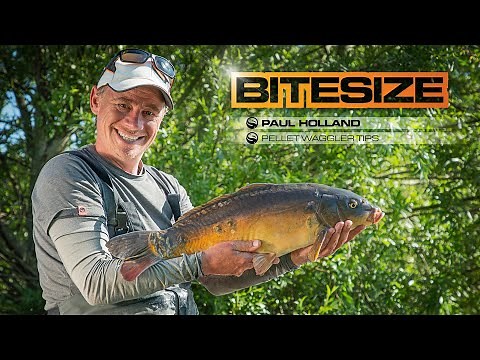 Pellet Waggler Fishing For Carp | Guru Bitesize #017