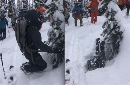 Simple Demonstration of Lethal Tree Well Dangers