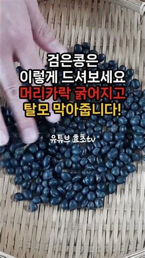 Try eating black beans this way. It thickens hair and prevents hair loss! #HairLoss #HairCare #Bl...