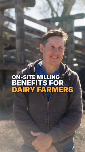 Why dairy farmers are turning to on-farm milling With the M1 Mill & Mix, you can adjust rations seasonally, during climatic shifts, or whenever herd nutrition changes, giving you more control over milk production and animal health. Follow for more milling advice ✅ | Kelly & Ward Milling | Facebook