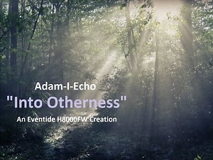 Adam-I-Echo | "Into Otherness" - Improvising with my newest, Eventide H8000FW Creation - (HD)