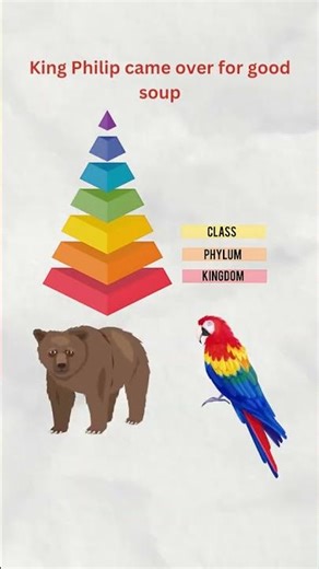 Science goes brrr #science #kotc #kingofthecurve #biology #mcat #premed #highschool #college