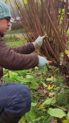 Traditional Japanese Crafts: Amazing Process Revealed