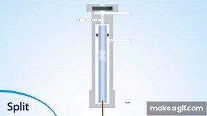 Split vs. Splitless Injection on Make a GIF