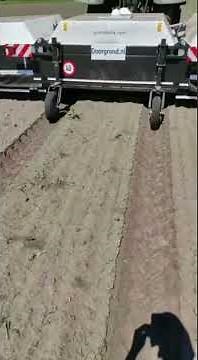 Orleans - Onion culture