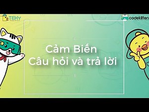 Học lập trình cùng Codekitten - Câu Lệnh Hỏi và Trả Lời | Lập trình Scratch thuần Việt