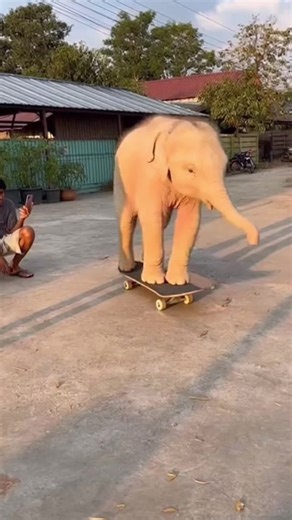 วิดีโอของ dreamcast2006 (@dreamcast2006) พร้อมเพลง เสียงต้นฉบับ - dreamcast2006