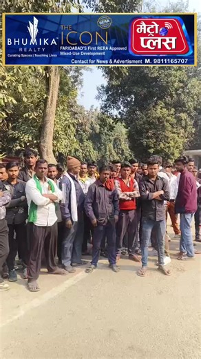 6.2K views · 40 reactions | Metro Plus on Reels | Facebook