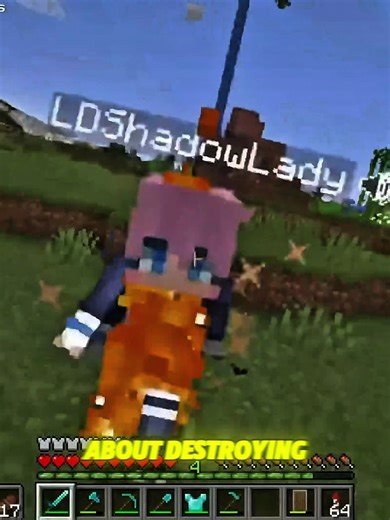 Lizzie was Upset so she Logged out #smallishbeans #ldshadowlady #minecraft