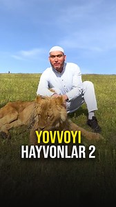 Yovvoyi hayvonlar-2 Telegram kanalimizga obuna bo'ling - T.me/AlisherAvazov | Alisher Avazov