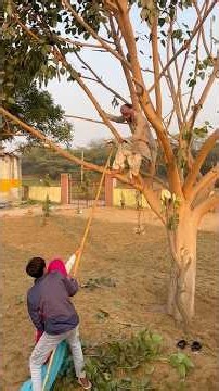 #लुगाई को क्लेश #डॉक्टर की कॉमेडी #newमारवाड़ीcomedy #funny #chettu_lambu_comedy #justforacting