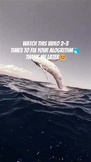 🐋 Insane Whale Breach Caught on Camera! 🤯