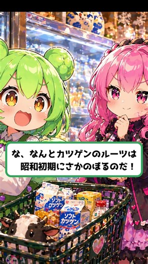 北海道限定「カツゲン」を発見【四字熟語も学べます】