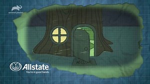 Allstate TV Spot, 'Animal Planet: Careless as a Squirrel'