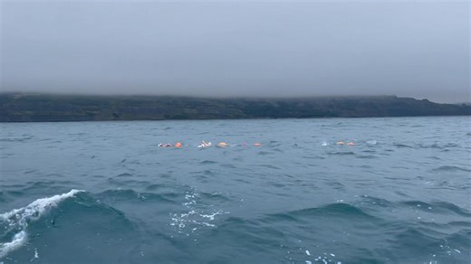 Time Means Nothing! Training our young swimmers to swim for longer periods in the pool is essential for preparing them to cope with the physical and mental demands of longer-distance sea swimming. The extended pool sets of Saturday afternoons help develop a reliable base pace, which improves aerobic capacity, stroke efficiency, and overall resilience🏊‍♀️🏊‍♂️ Longer, continuous efforts also give swimmers the time needed to apply the technique corrections and drills we’ve practiced mid week with