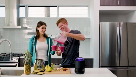 Katchy Midnight Indoor Insect Trap – Auto/Manual Mode – Blue Light & Fan Suction Catcher for Mosquito, Fruit Fly, Gnat, Fungus Gnat & Moth – Ideal for Kitchen & Indoor Plants (Black)