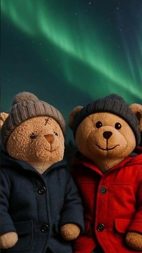 Teddy and Tatty Under the Northern Lights ✨