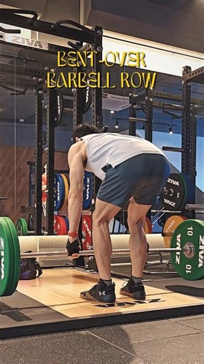 Bent-over Barbell Row • Pocket Helper