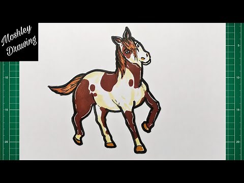 How to Draw Boomerang - Spirit Riding Free