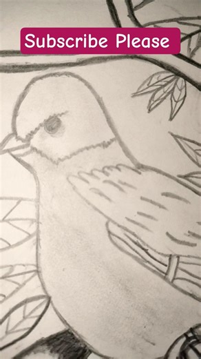 Relaxing Bird Sound | Birds Drawing #shorts #drawing #artist
