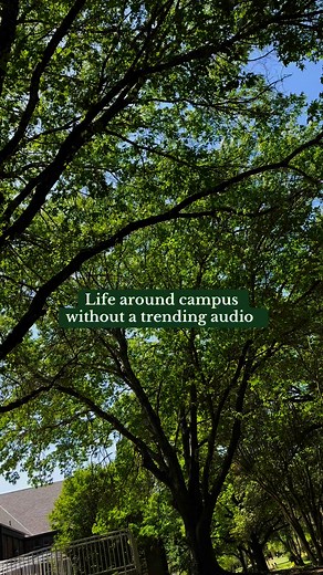 Giving thanks for the precious gift of our Mother Earth as we take a moment to appreciate and admire the beauty of creation that surrounds our OST campus. Happy Earth Day! 🌎 | Oblate School of Theology