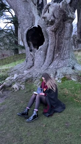 Unlocking the Secrets of Hogwarts: The Ultimate Harry Potter Experience