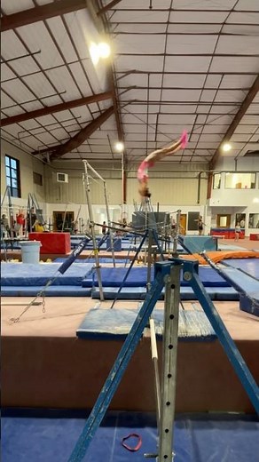 Elite Basic Bar Routine 🐒