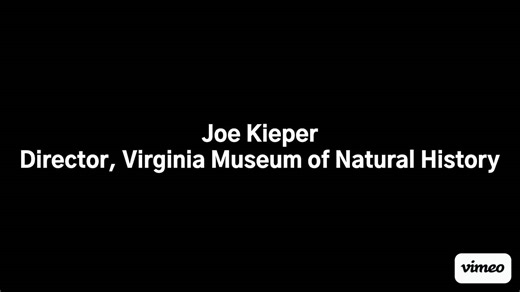 vam_member_involvement_and_giving (720p)