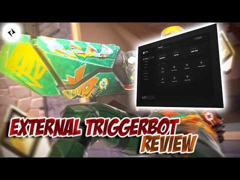 This AI Color TriggerBot is the SMOOTHEST in Valorant 2026... (INSANE)