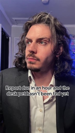 Kane Wolfe (@kane.wolfe)’s video of desk pet