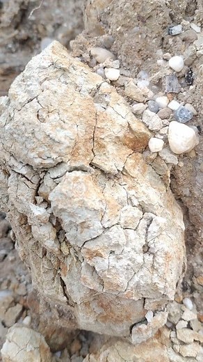 93K views · 617 reactions | Digging for gemstones at a gold mine site. #Goldminelocation #Goldmine #TreasureHunting #digging #Diggingforgemstones #Treasure #gemstone #agate #jade #agate #Petrifiedwood #Fossilwood #bedrockcrack #Crystalstone #Chalcedony #quartz #blackdiamond #blackjade #stoneage | Jonnaidi Jhon Diamond | Facebook