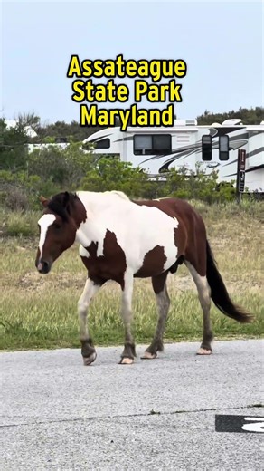 3 Bucket List Campgrounds to Visit in 2026 #NY #SD #MD