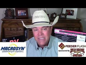 Feeder Flash 8/26: Fewer Cattle, More Beef
