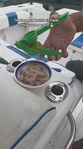 In Panama is always fishing season 🎣 and the fish are biting 😎 book your private yacht charter and customize it to your taste 🛥️ Panamagemcharters.com #fishinginpanama #panamayachtrental #panamatours #yachtrentalinpanama #pearlislands #panamafishing #tabogaisland #panamabayfishing | Gem Charters