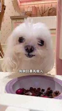 凌晨3点所有人都睡了，我旅游回到128平童话小家都在干什么？「你心中的小可爱 Your Cutie」