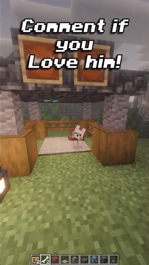 Shelter For my Dog.. #shorts