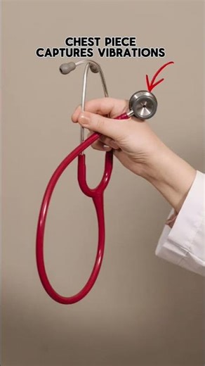 How a stethoscope actually works.