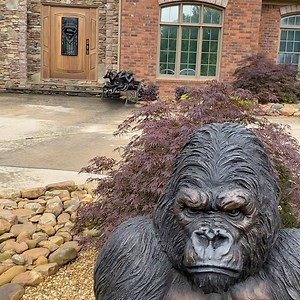 10K views · 520 reactions | Day 3! There’s no quit, despite the muddy conditions, in this “Dream TEAM” of Certified Aquascape Contractor Artists of the Year! You think Shaq is going to love it or what?! #certifiedaquascapecontractors #shaq #ilovemyjob | Greg Wittstock the Pond Guy | Facebook