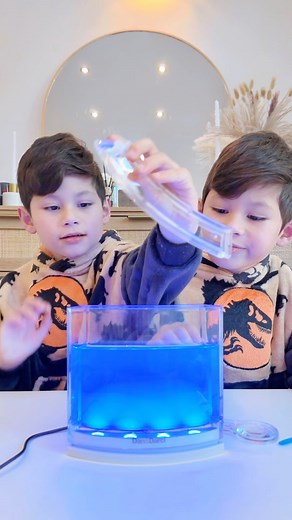 2.5M views · 39K reactions | Saan kaya kami hahanap ng mga langgam para sa aming ant farm  | Charlie & Chino | Facebook